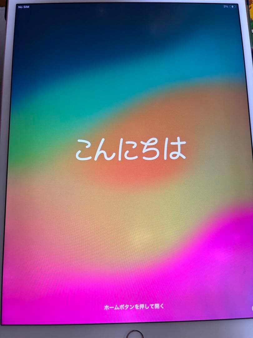 た*ん様 【ジャンク】iPad Pro 10.5インチ 256GB Pencil