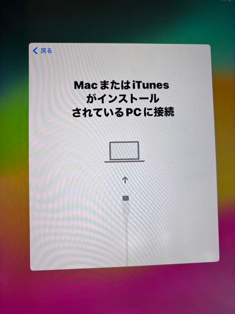 た*ん様 【ジャンク】iPad Pro 10.5インチ 256GB Pencil