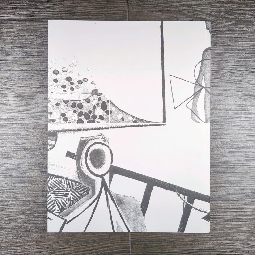 洋書　ジャスパー・ジョーンズ Jasper Johns The Seasons