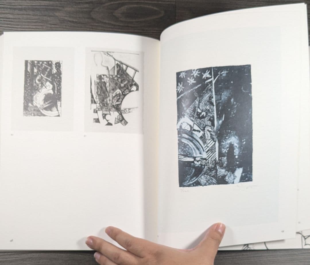 洋書　ジャスパー・ジョーンズ Jasper Johns The Seasons