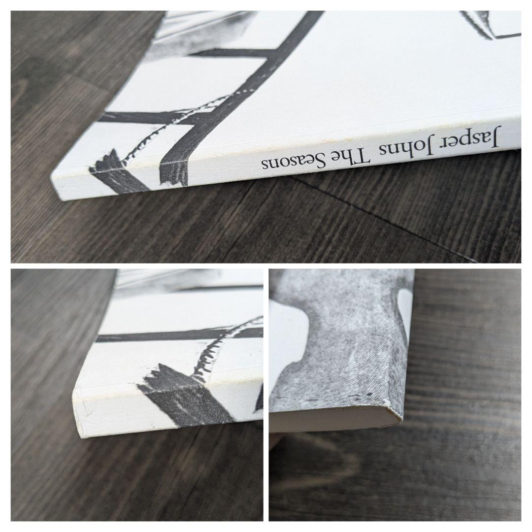洋書　ジャスパー・ジョーンズ Jasper Johns The Seasons