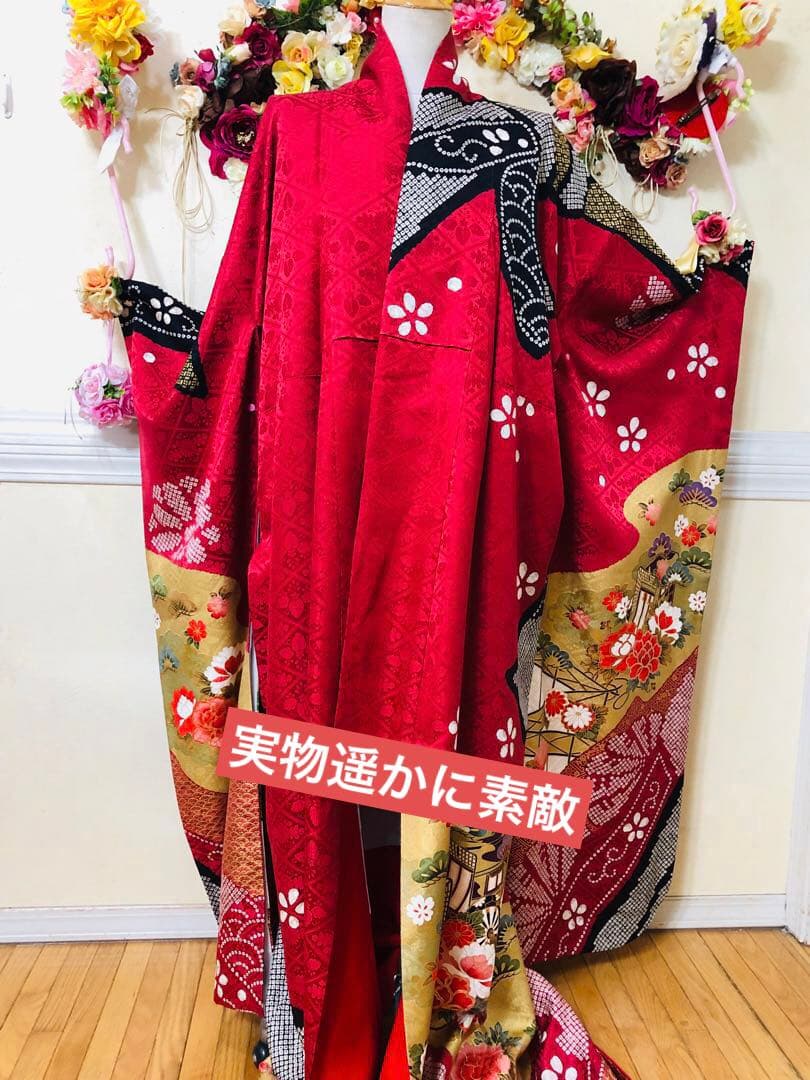 ごまちゃん‼️