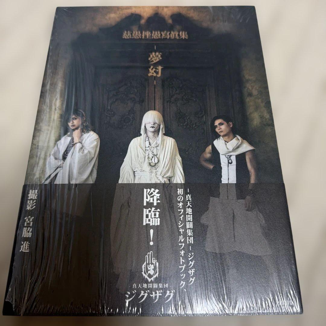 -真天地開闢集団-ジグザグ アーティストブック