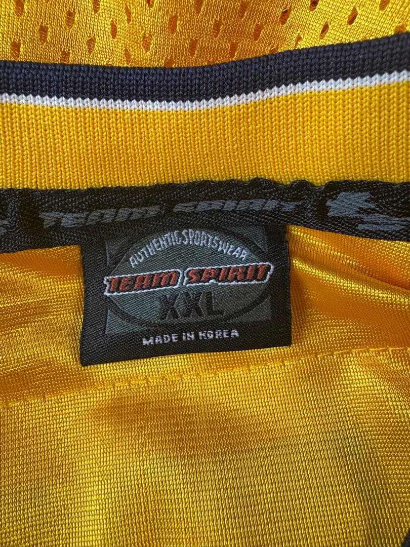 ⭐︎ビッグサイズ⭐︎TEAM SPRIT ミシガン大学フットボールジャージ