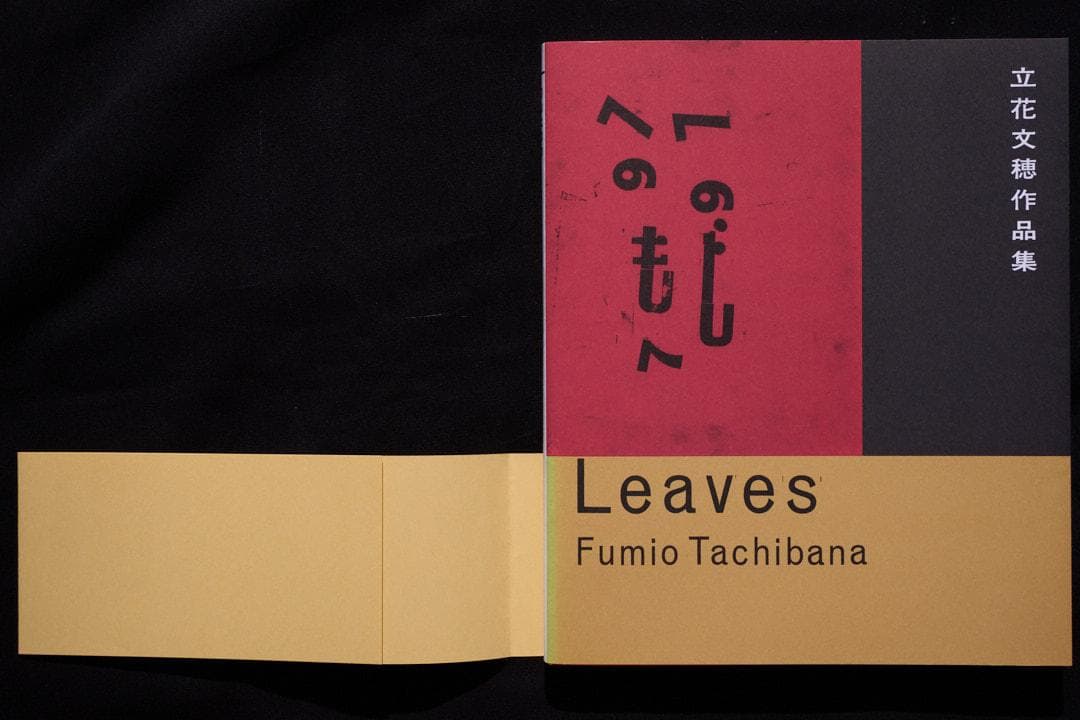 Leaves 立花文穂 作品集