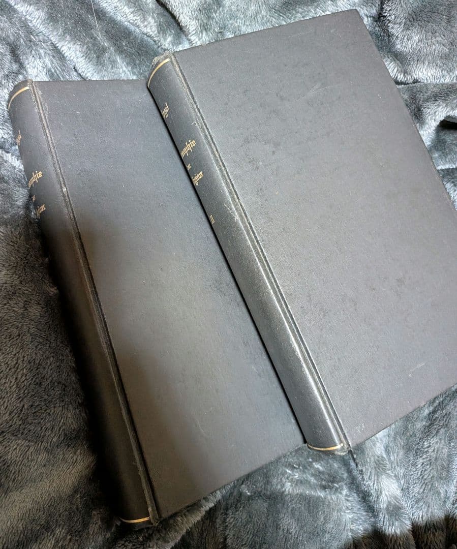 ヘーゲル全集　宗教哲学　ベルリン版　1840年、二冊揃　Hegel Werke