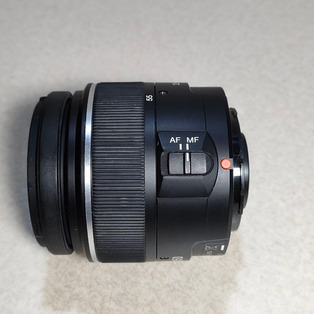 SONY α33 / DT 18-55mm F3.5-5.6 SAM #3007