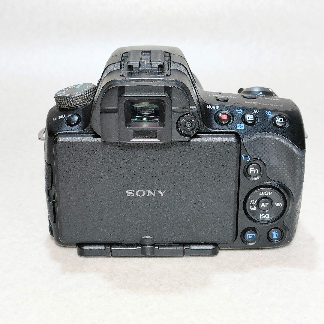 SONY α33 / DT 18-55mm F3.5-5.6 SAM #3007