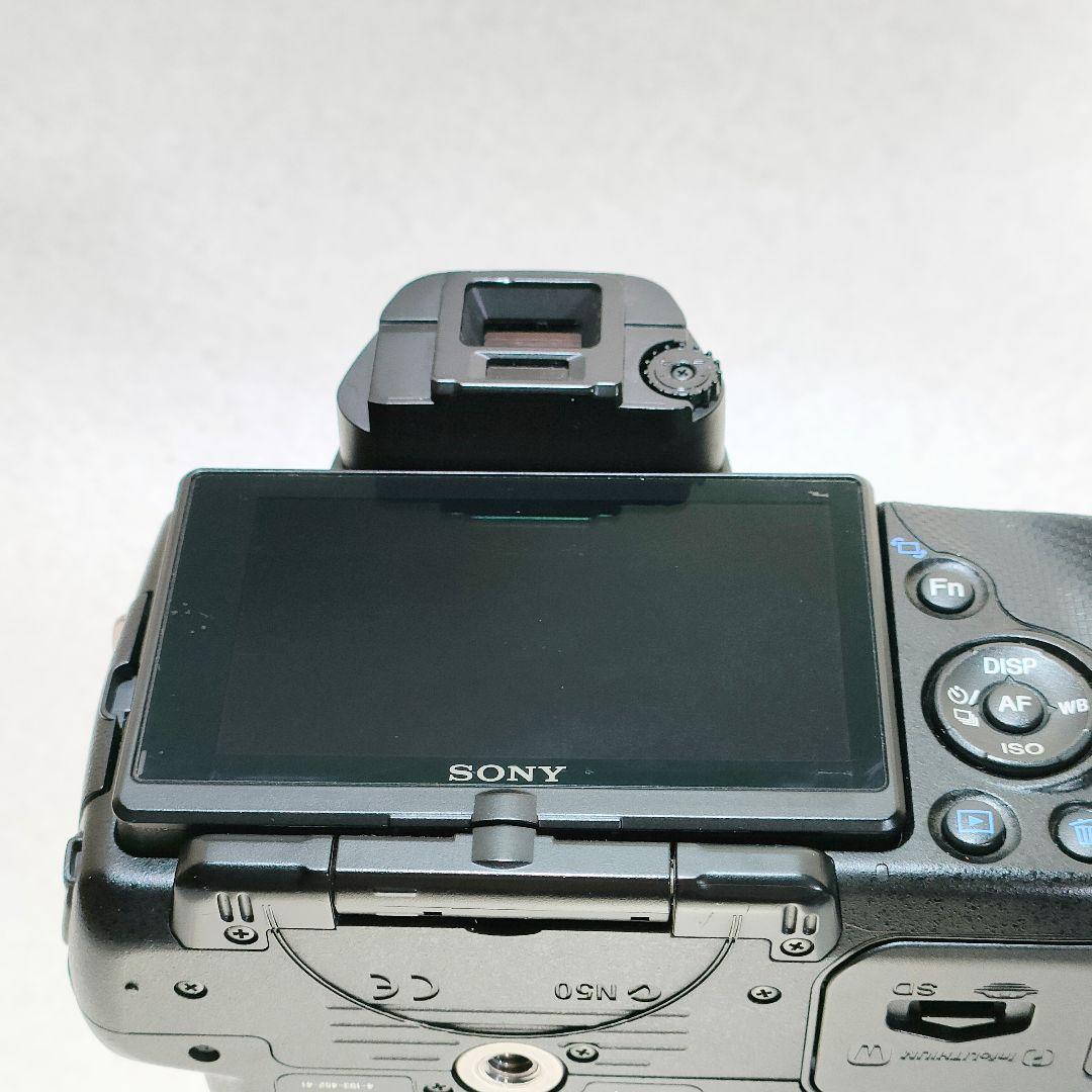 SONY α33 / DT 18-55mm F3.5-5.6 SAM #3007