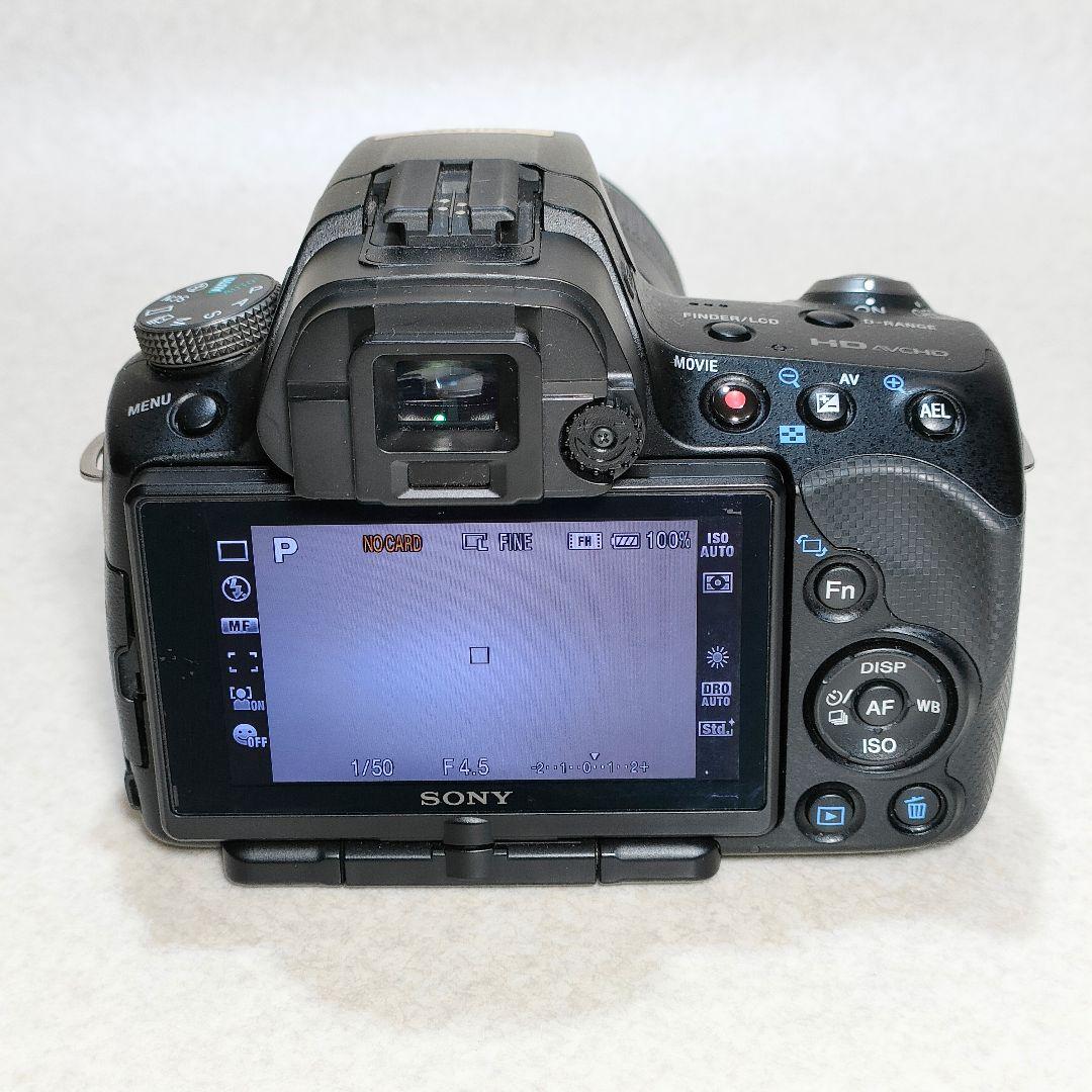 SONY α33 / DT 18-55mm F3.5-5.6 SAM #3007
