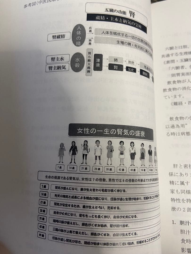 中医基礎理論 上巻