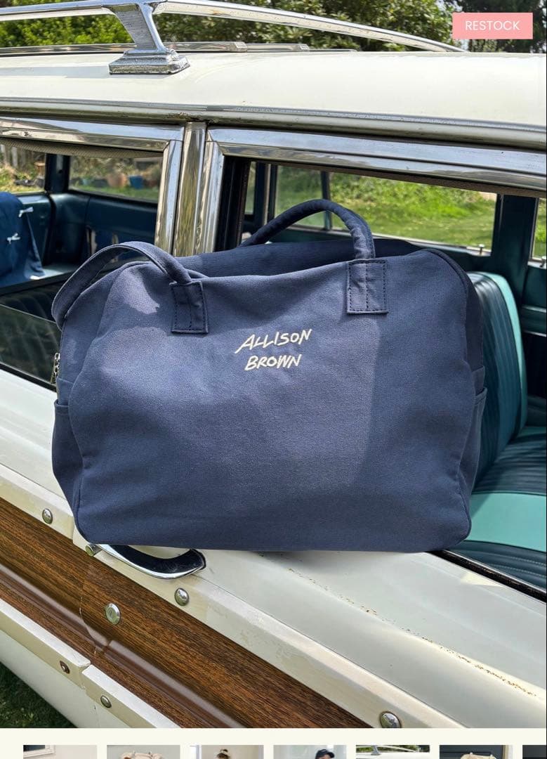 ALLISON BROWN HOLIDAY CANVAS BAG アリソンブラウ