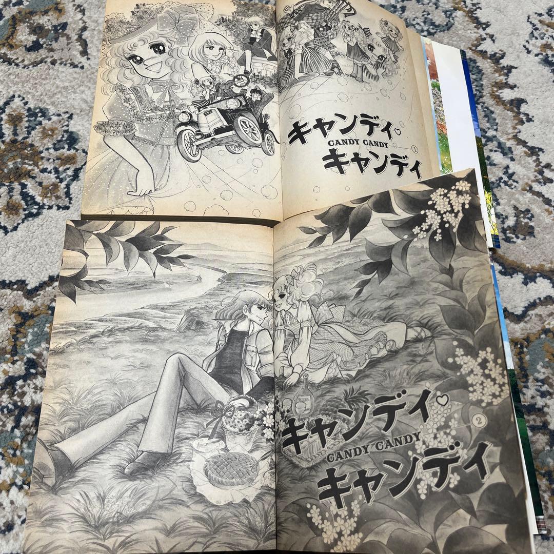 キャンディ・キャンディ 全巻セット 1・2 愛蔵版