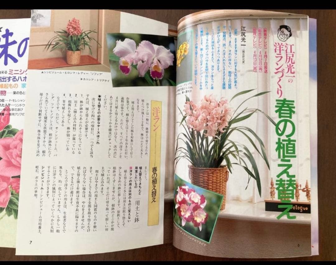 【レア品】34年前の古書　ＮＨＫ趣味の園芸　19冊1991年〜1992年 昭和