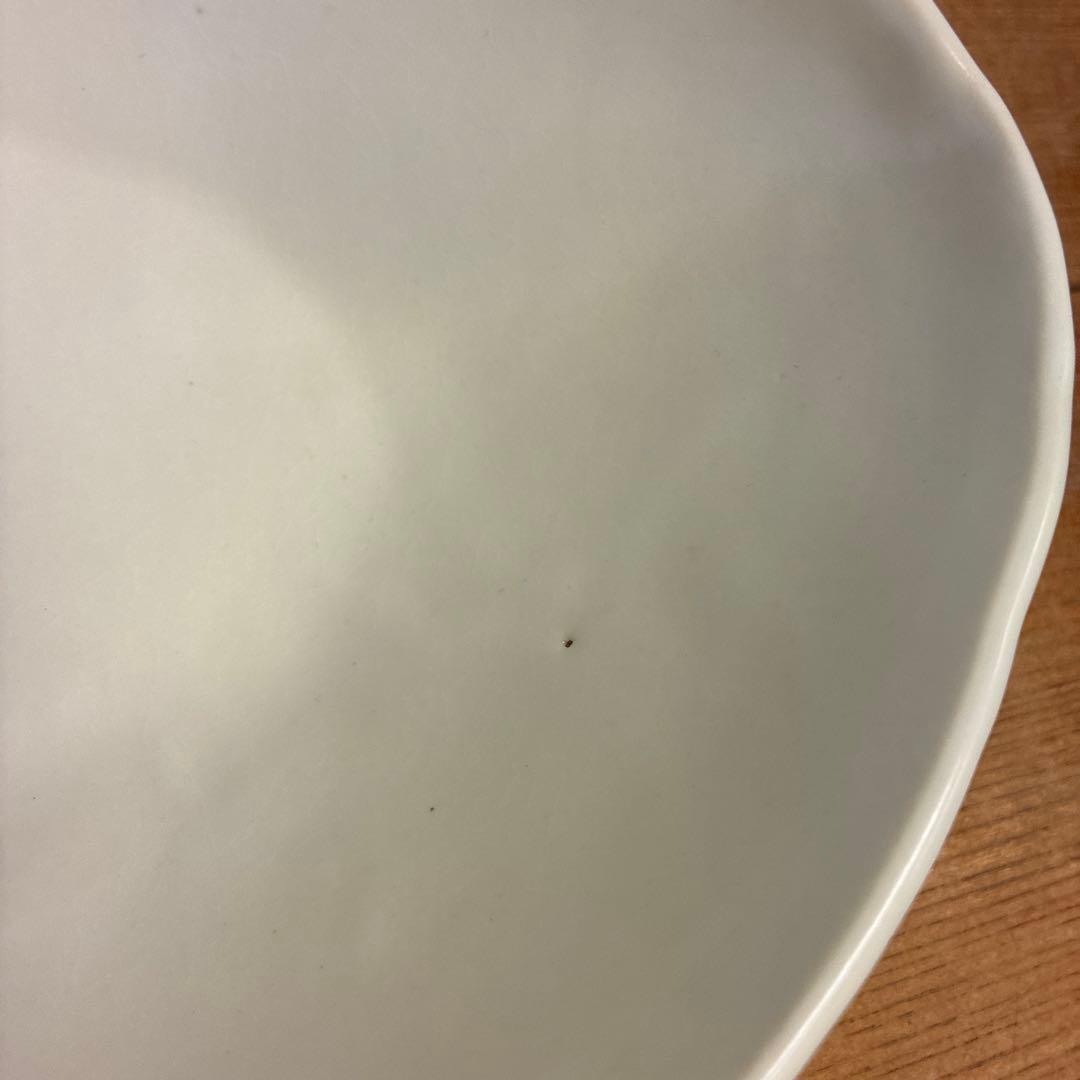 Szk新品　陶器　陶芸作家　カレー皿2個　53