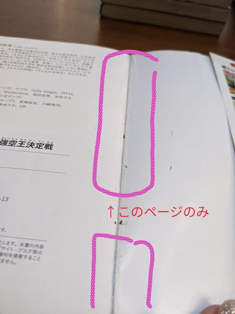 どっちが強い!?／最強王図鑑シリーズ /その他まとめ売り 全21冊セット
