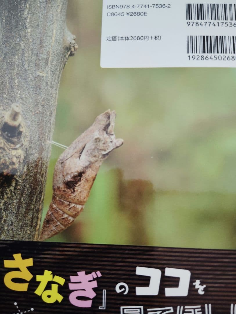 昆虫図鑑、ドリル9冊セット【17000円相当】▼値下げ依頼〜歓迎▼