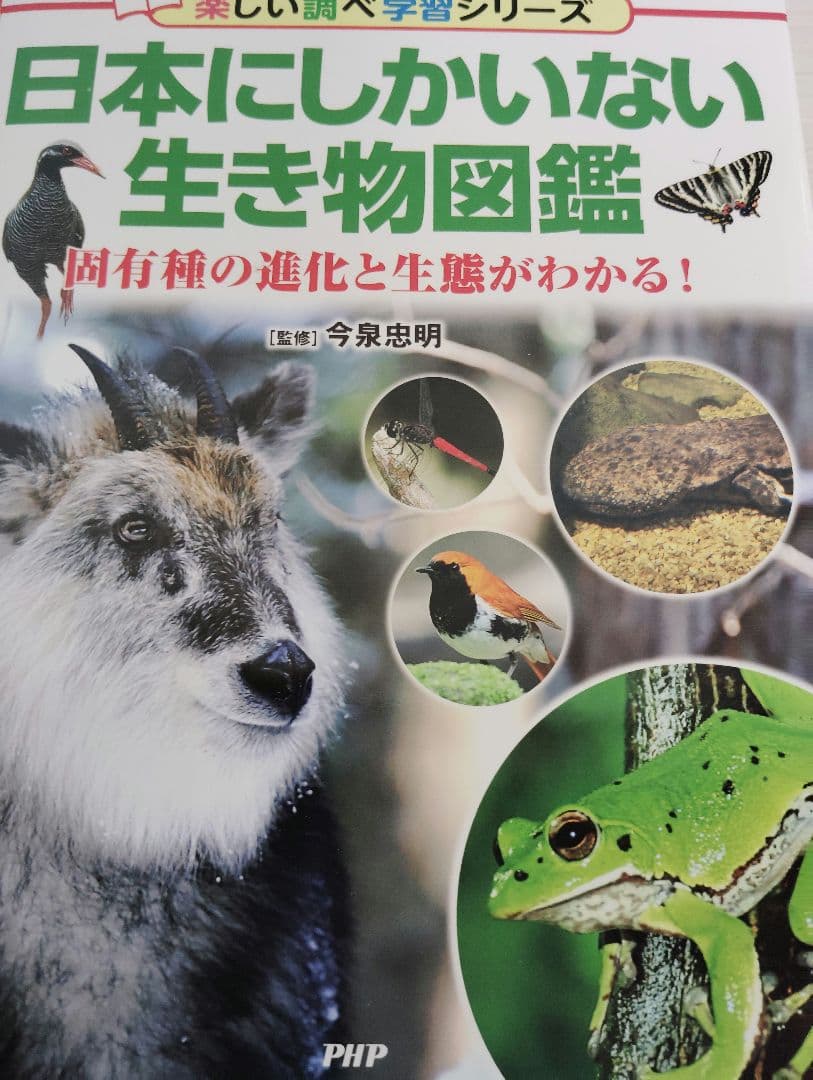 昆虫図鑑、ドリル9冊セット【17000円相当】▼値下げ依頼〜歓迎▼