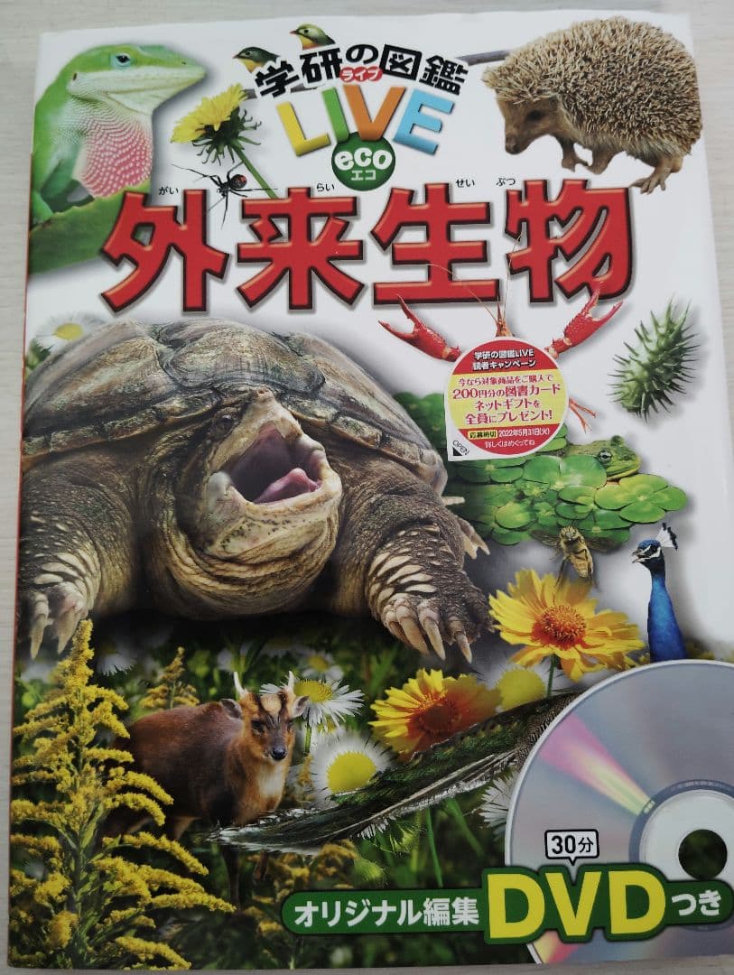 昆虫図鑑、ドリル9冊セット【17000円相当】▼値下げ依頼〜歓迎▼