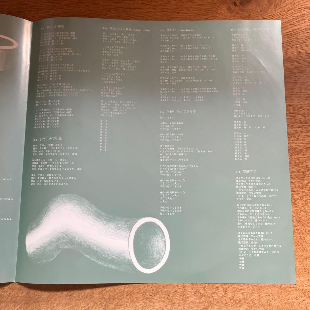 ゆらゆら帝国　空洞です　レコード　2枚組　LP 坂本慎太郎