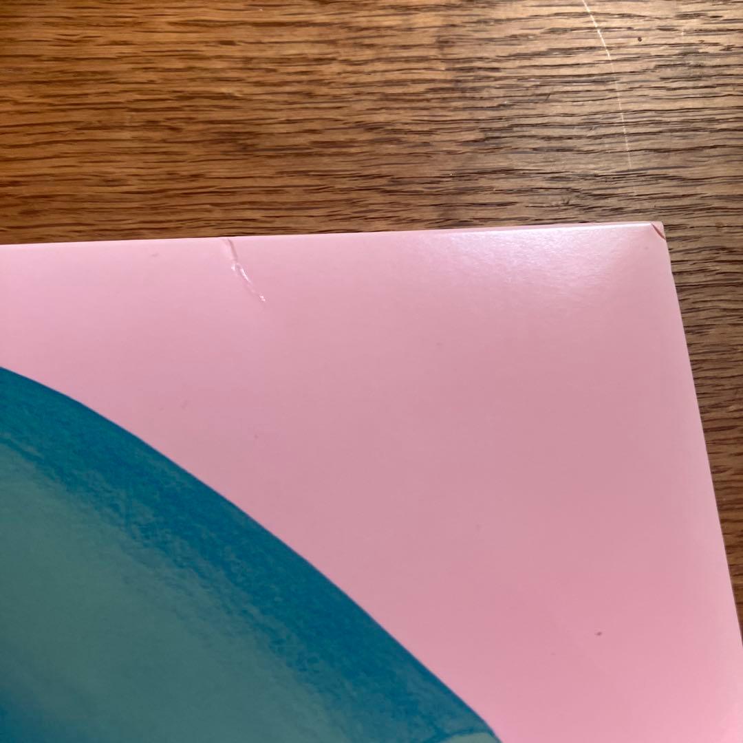 ゆらゆら帝国　空洞です　レコード　2枚組　LP 坂本慎太郎