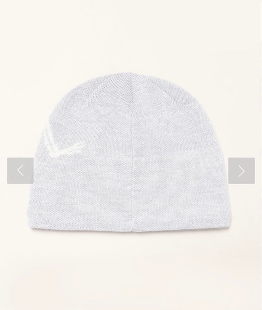 美品　ARC'TERYX bird head touque ビーニー