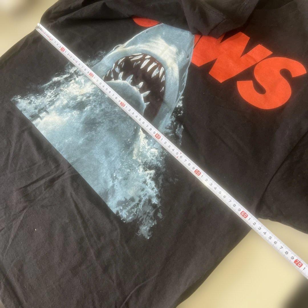 早い者勝ち‼️最終値下げ‼️値下げ不可‼️1004 FLAGSTUFF JAWS50周