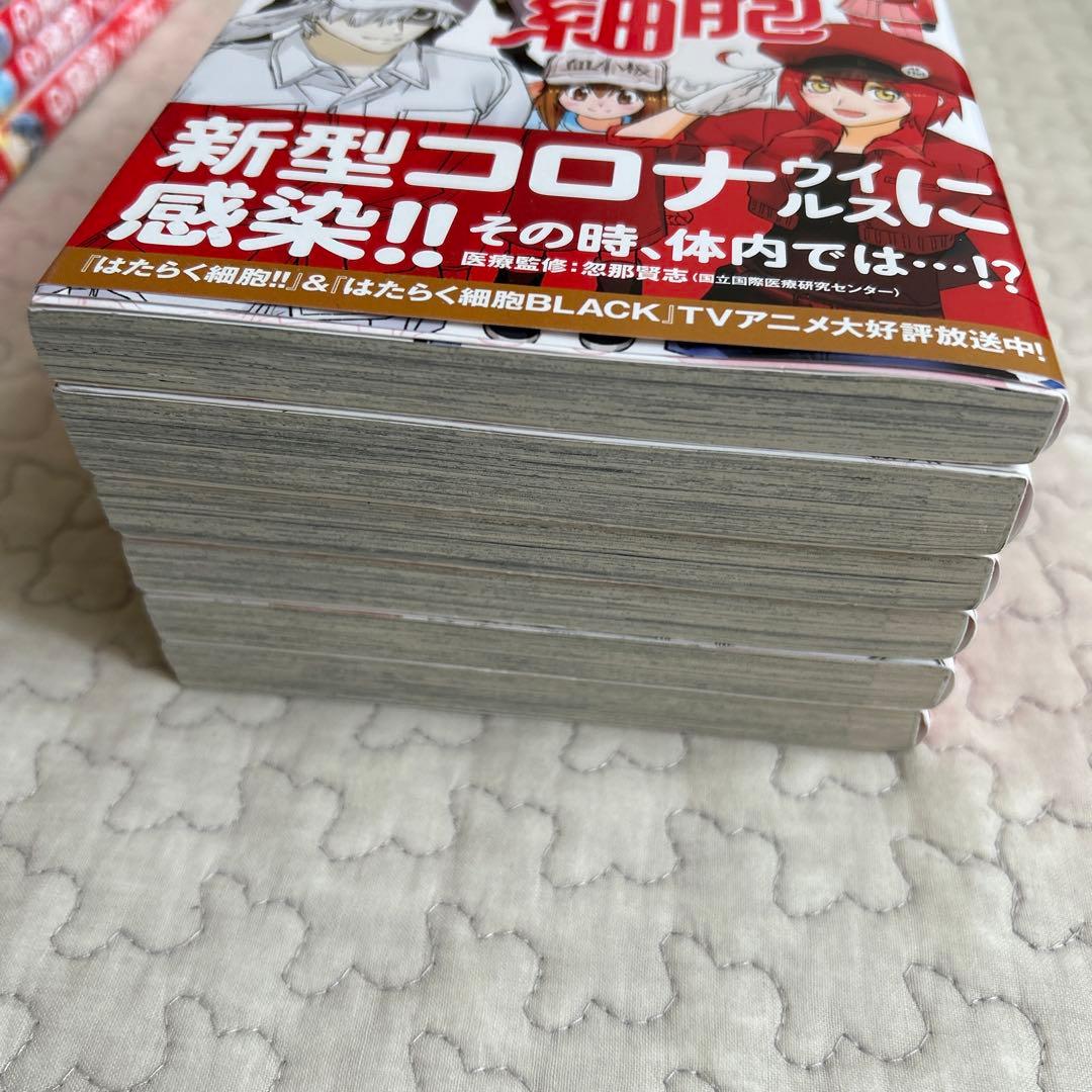 はたらく細胞　はたらく細菌　全巻セット　まとめ売り　科学　医学　ノーベル賞　中受