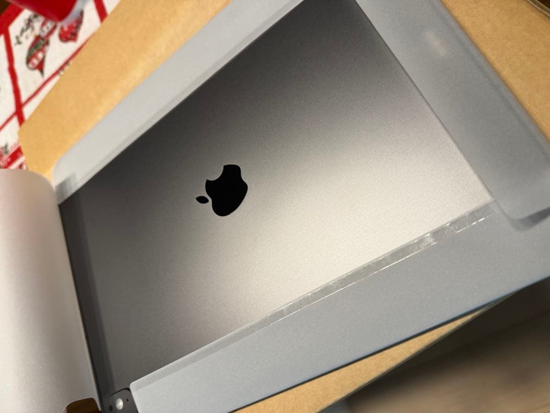 iPad Pro m5 13インチ512GB wifi+cellular