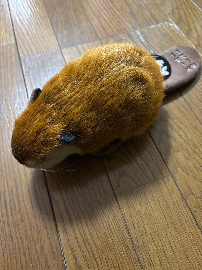 SUPER BEAVER 吉徳 スーパービーバーちゃん
