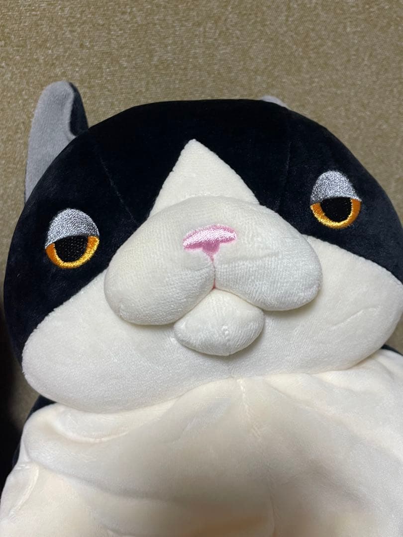 もちネコ　ナオル　シナダグローバル　 モチモチ　ぬいぐるみ　猫　5体セット