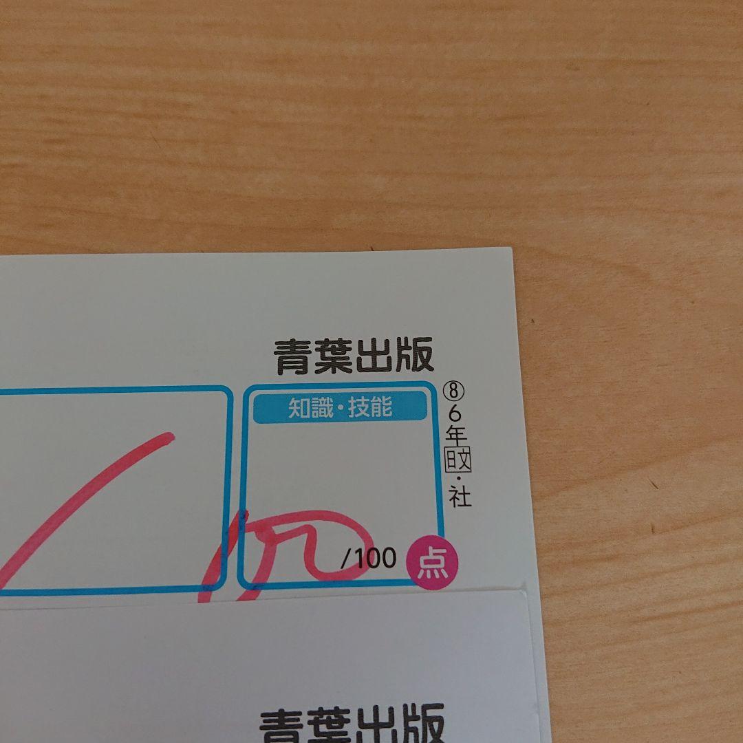 6年 社会 カラーテスト
