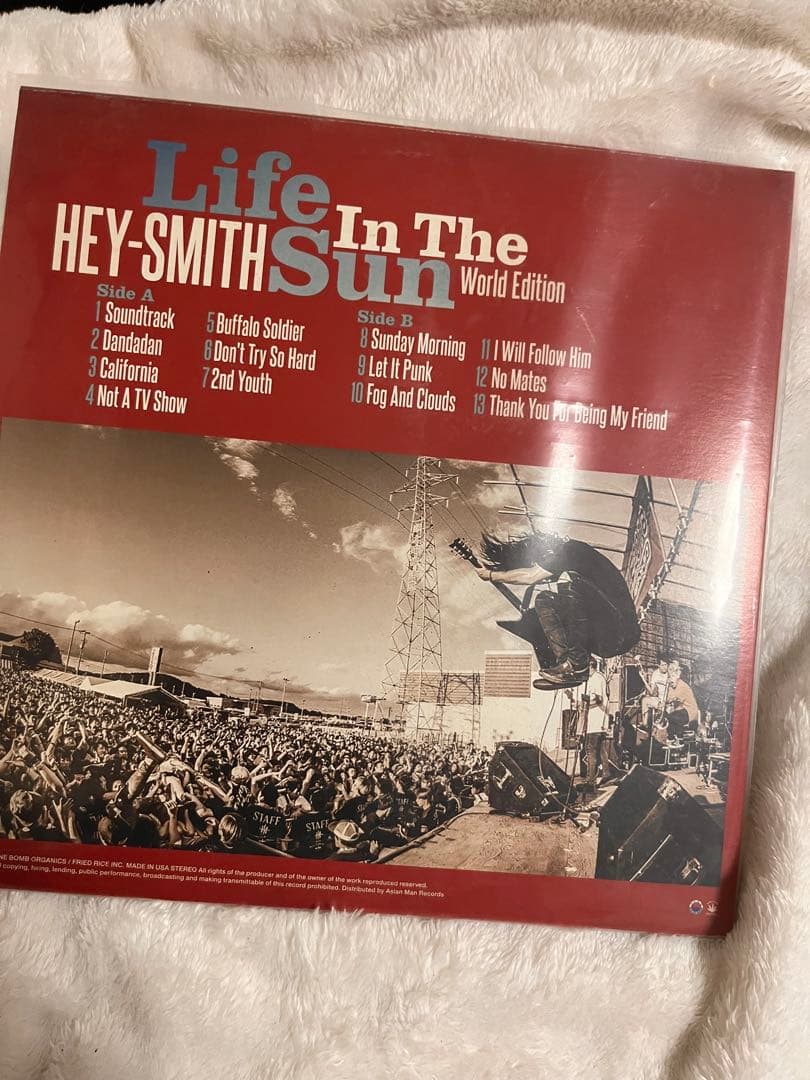HEY-SMITH ライフインザサン アナログレコード盤