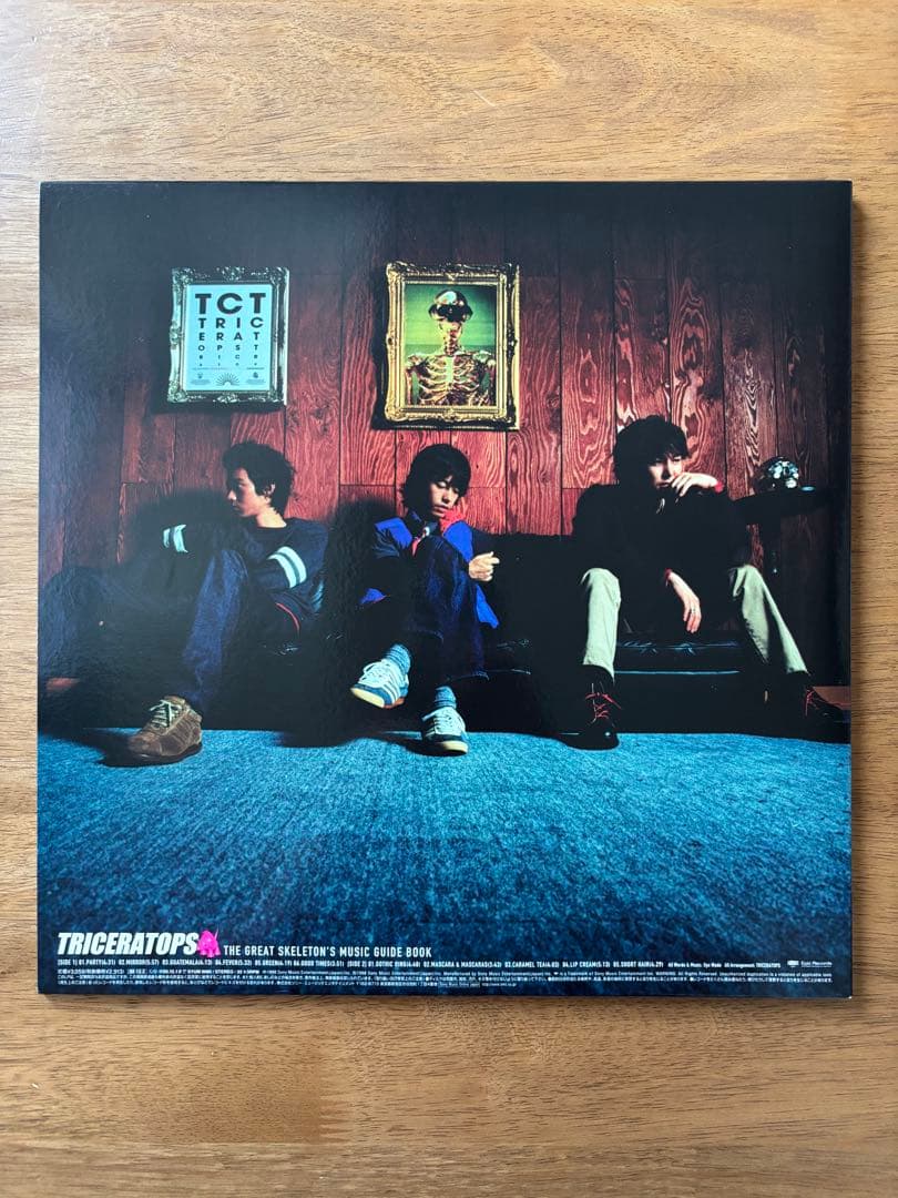 邦楽 THE GREAT SKELETON'S ~ / TRICERATOPS LP