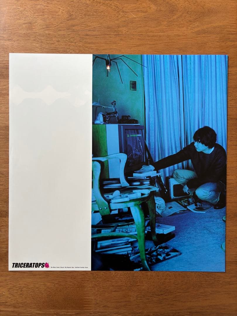 邦楽 THE GREAT SKELETON'S ~ / TRICERATOPS LP