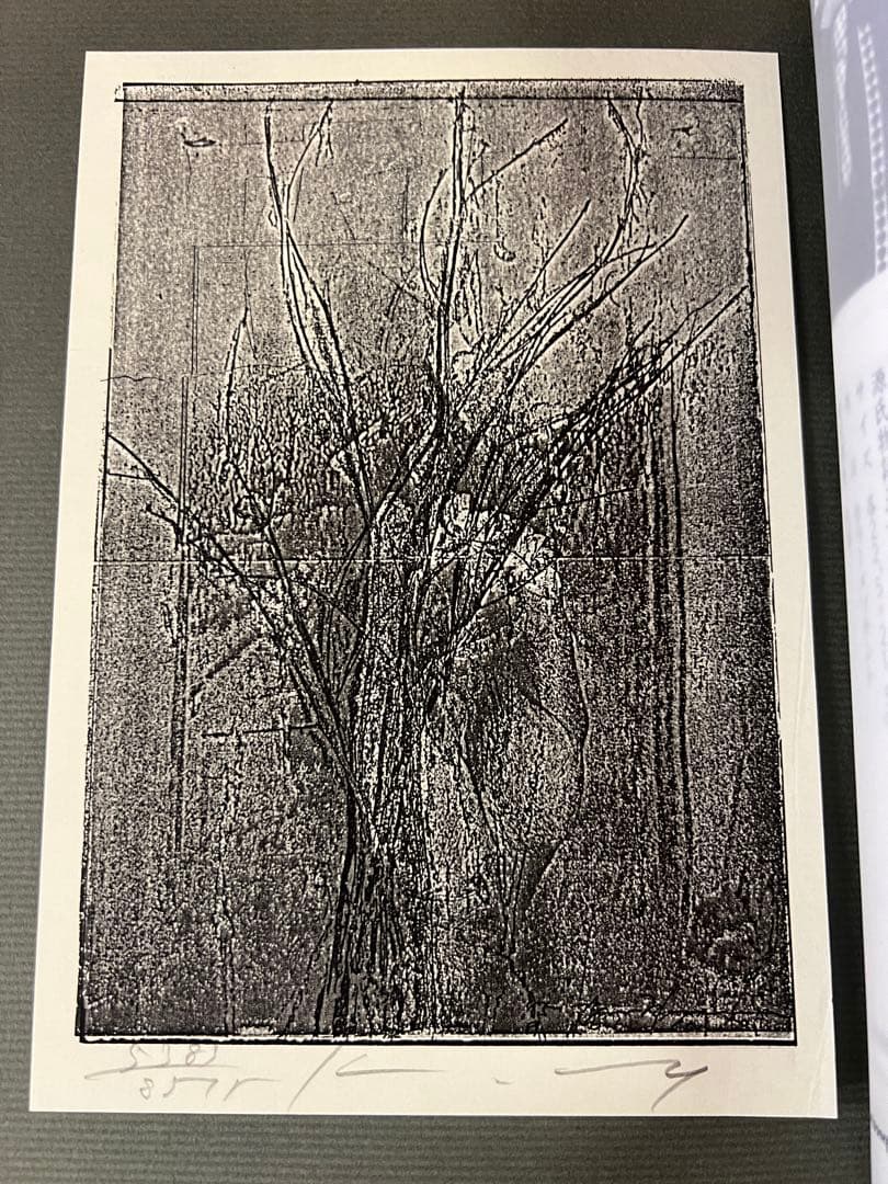 1986年版 版画藝術52号 ハミルトン特集 小本章版画付 希少　アート本