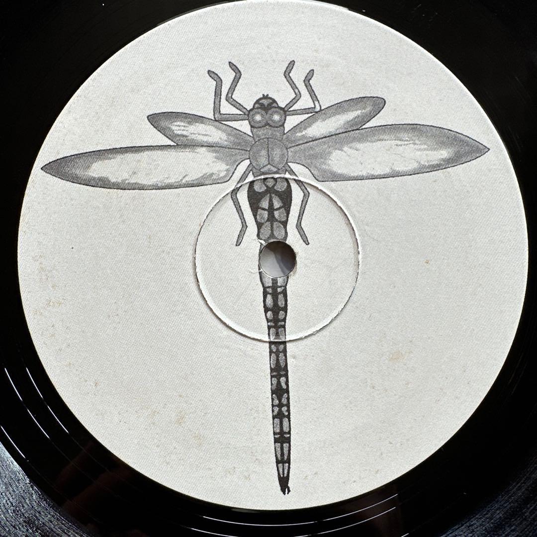 Order Odonata Vol. 1 Dragonfly サイトラ歴史的名盤
