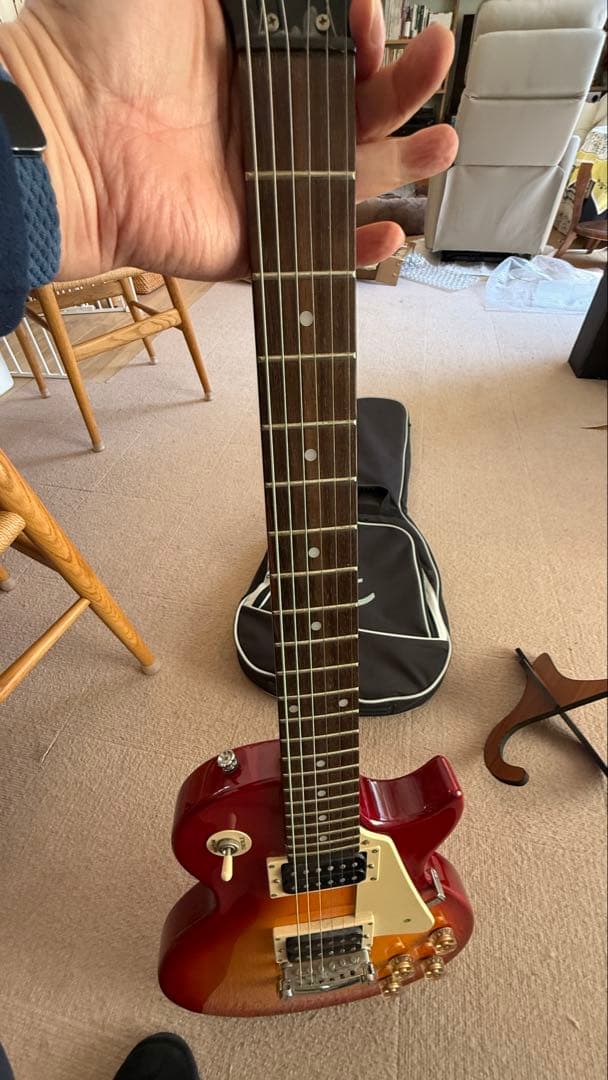 ギター Epiphone Les Paul-100