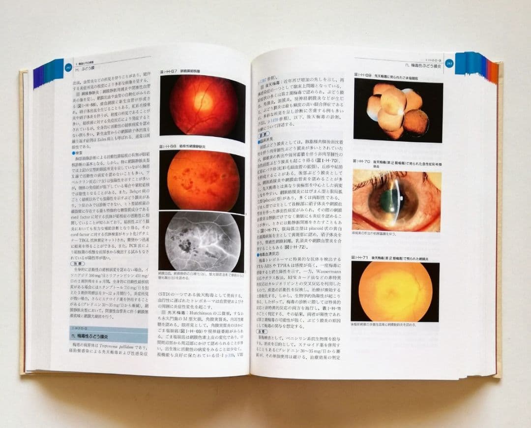 b0. 眼科学／丸尾敏夫(編者),本田孔士(編者),臼井正彦(編者),田野保雄