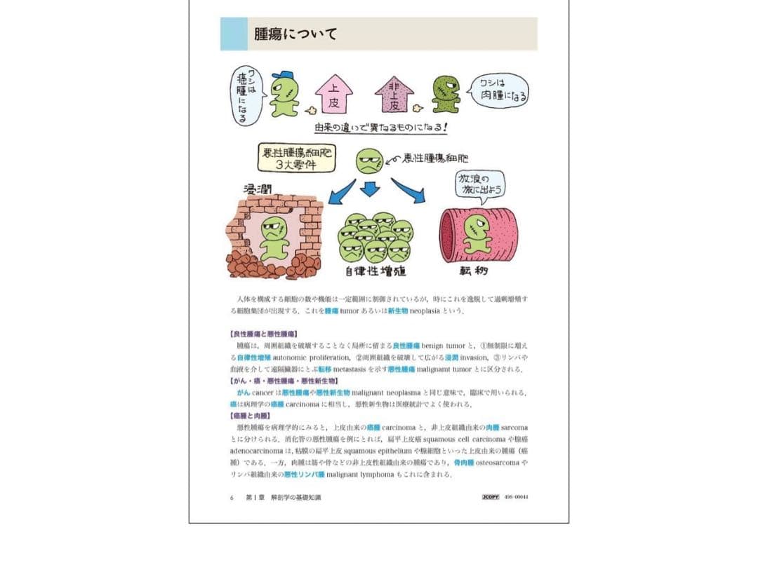 イラスト解剖学 第10版 松村恭児