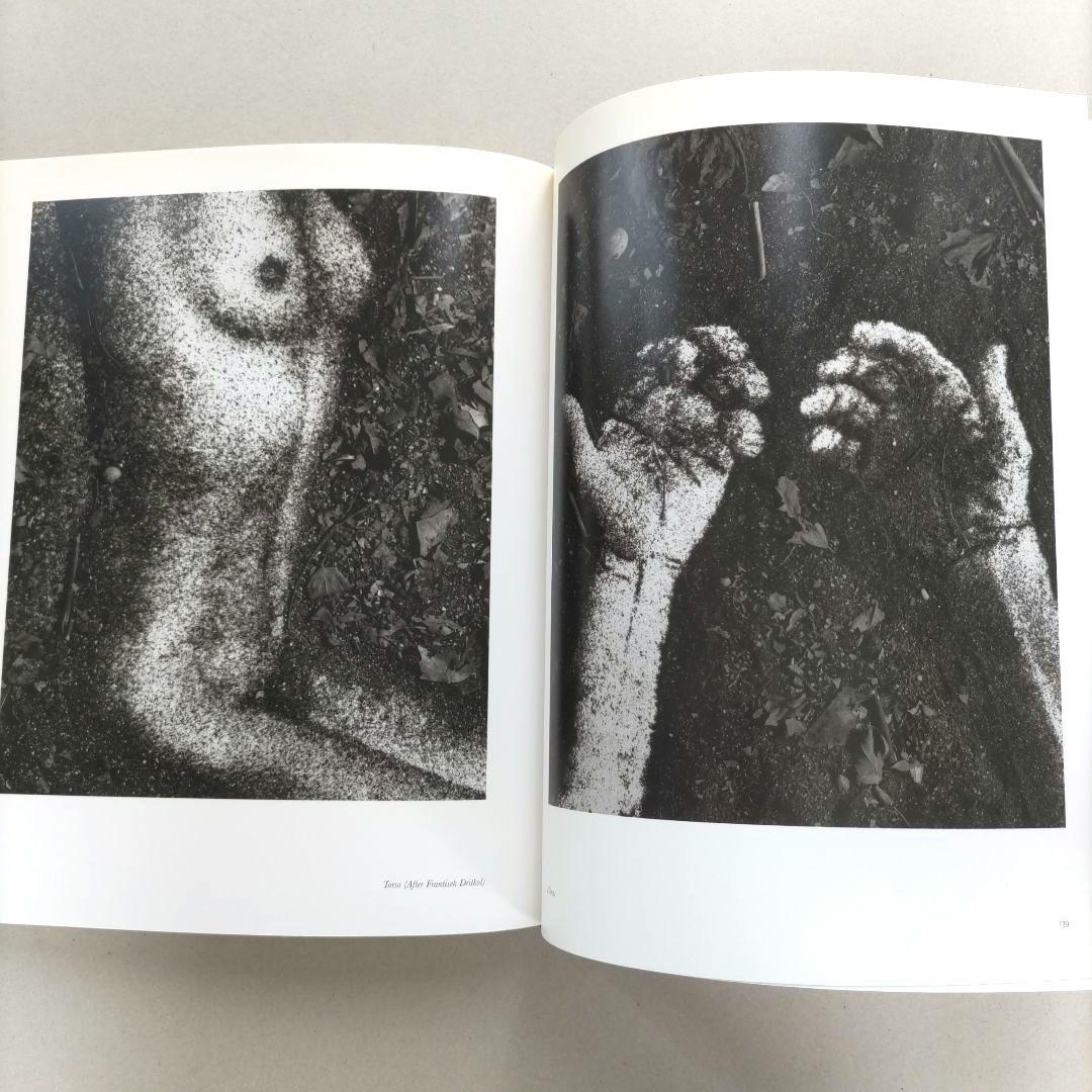 VIK MUNIZ/SEEING IS BELIEVING ヴィック・ムニーズ