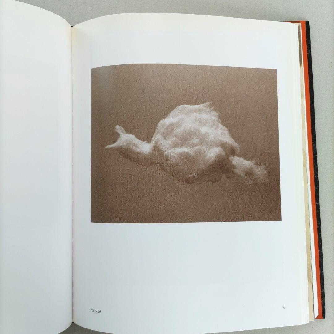 VIK MUNIZ/SEEING IS BELIEVING ヴィック・ムニーズ