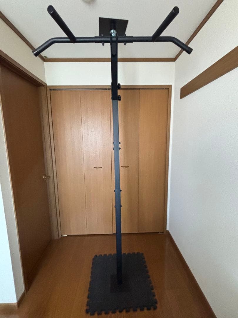 TEDDY WORKS 懸垂マシン