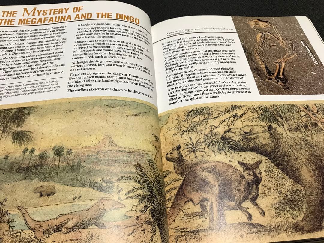 レア洋書　The Story of Australia Don Watson