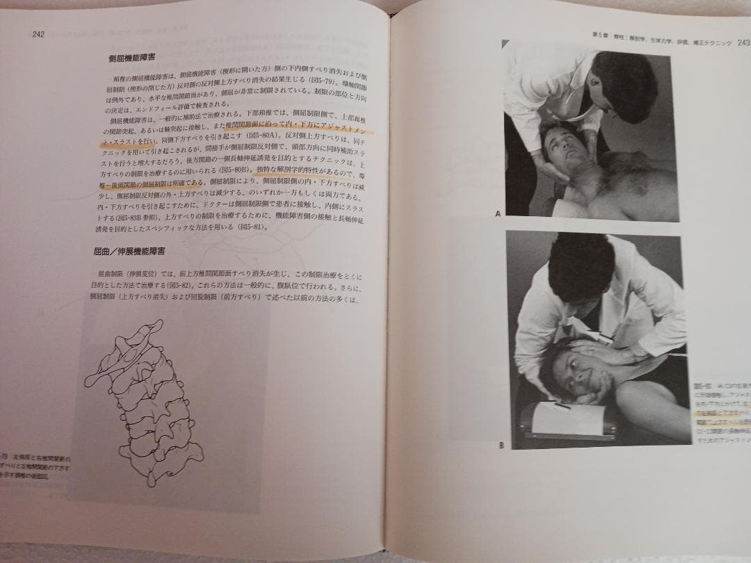 カイロプラクティック総覧