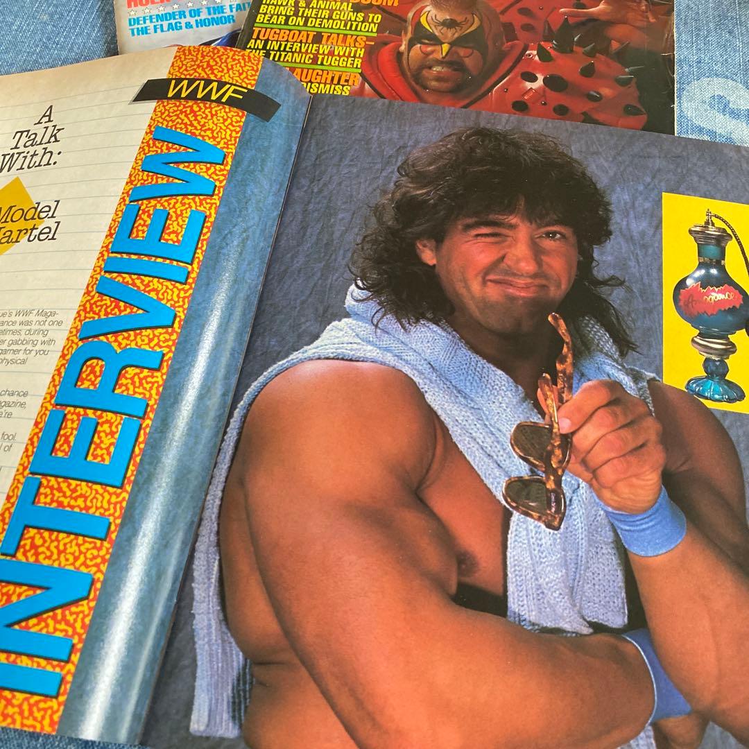 WWF Magazine 1990年9月号