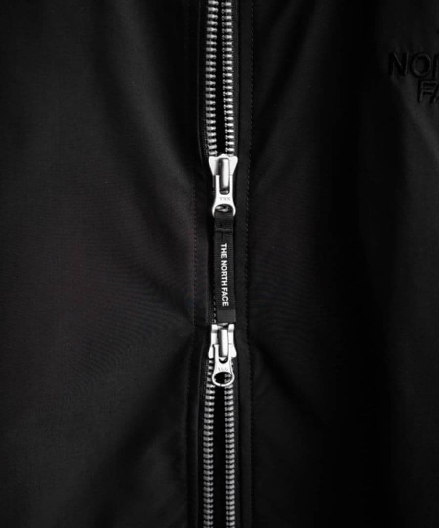 新作 THE NORTH FACE HAYDEN EX ヒート ボンバー L 黒