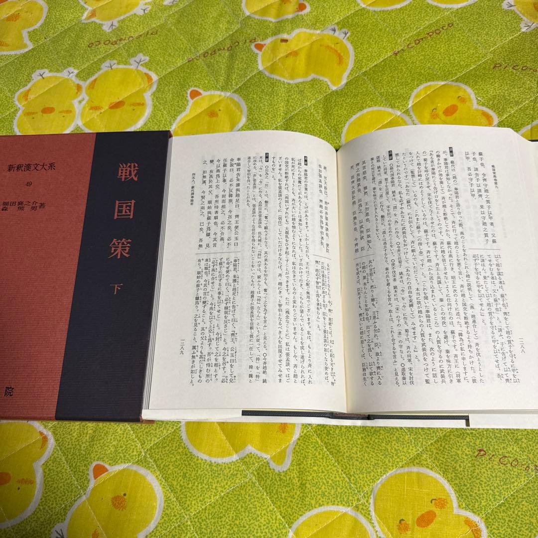 戦国策　上中下　新釈漢文大系