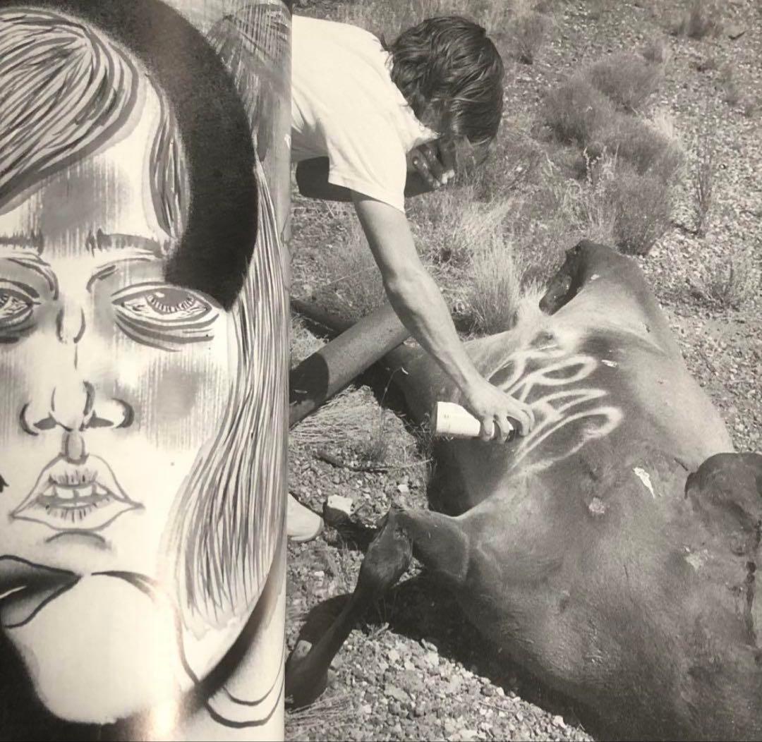 絶版‼️ Arkitip issue 018 : Ed Templeton