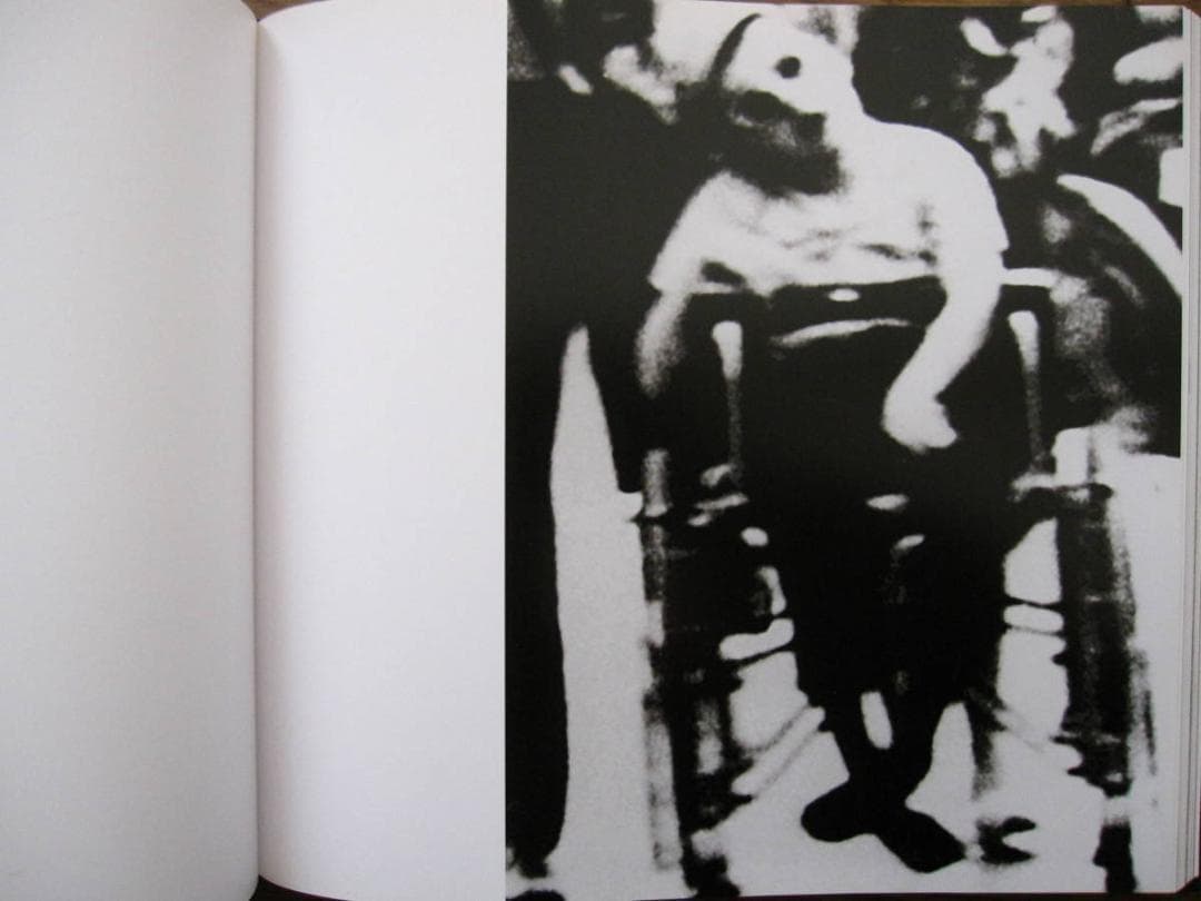 マリオ・ジャコメッリ　(完全日本語版)　 Mario Giacomelli　HC